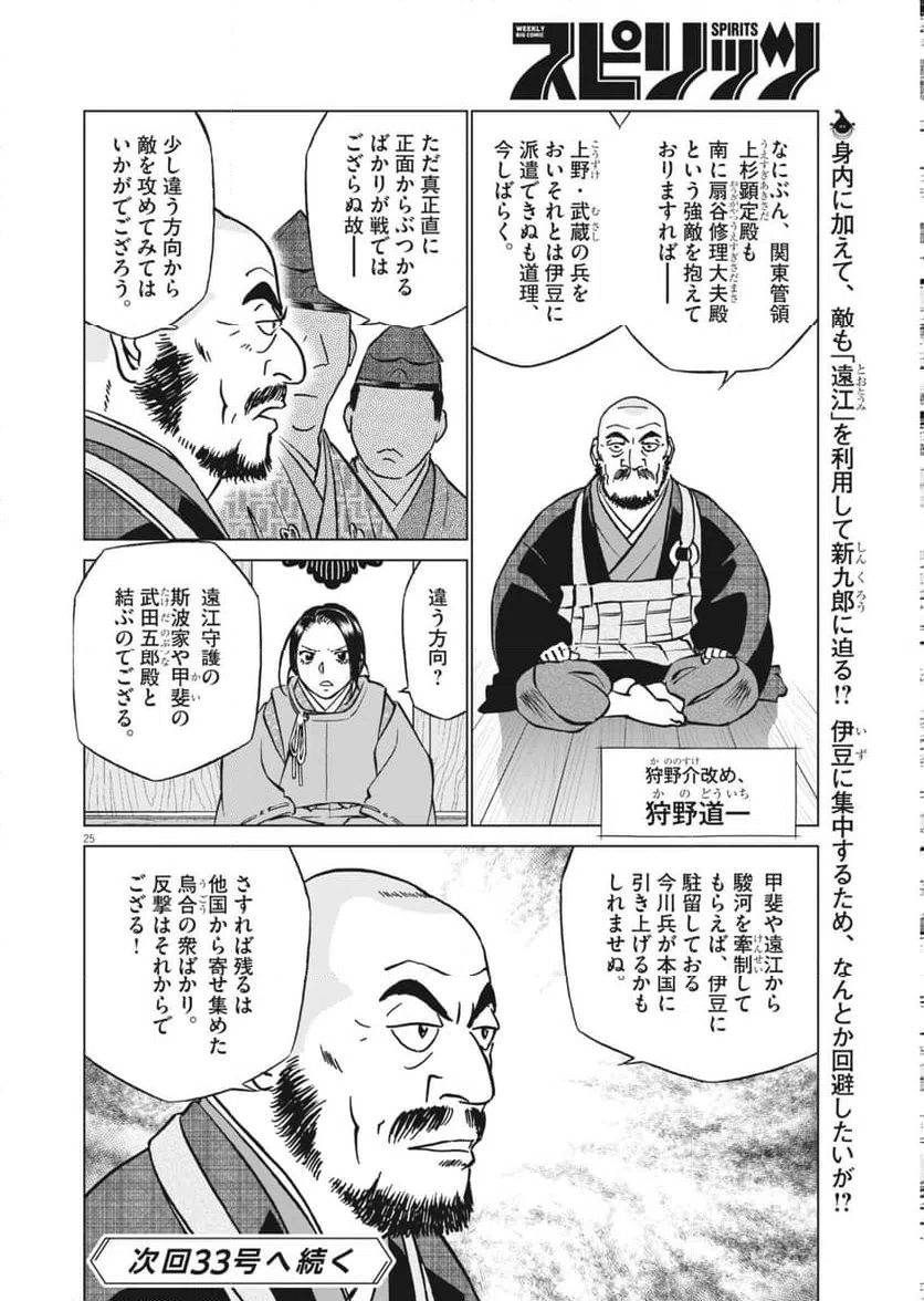 Page 25