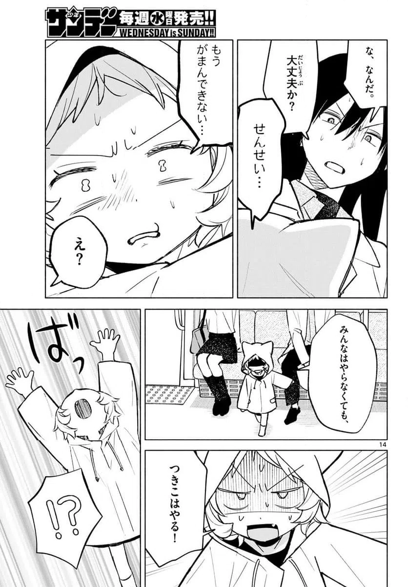 Page 14