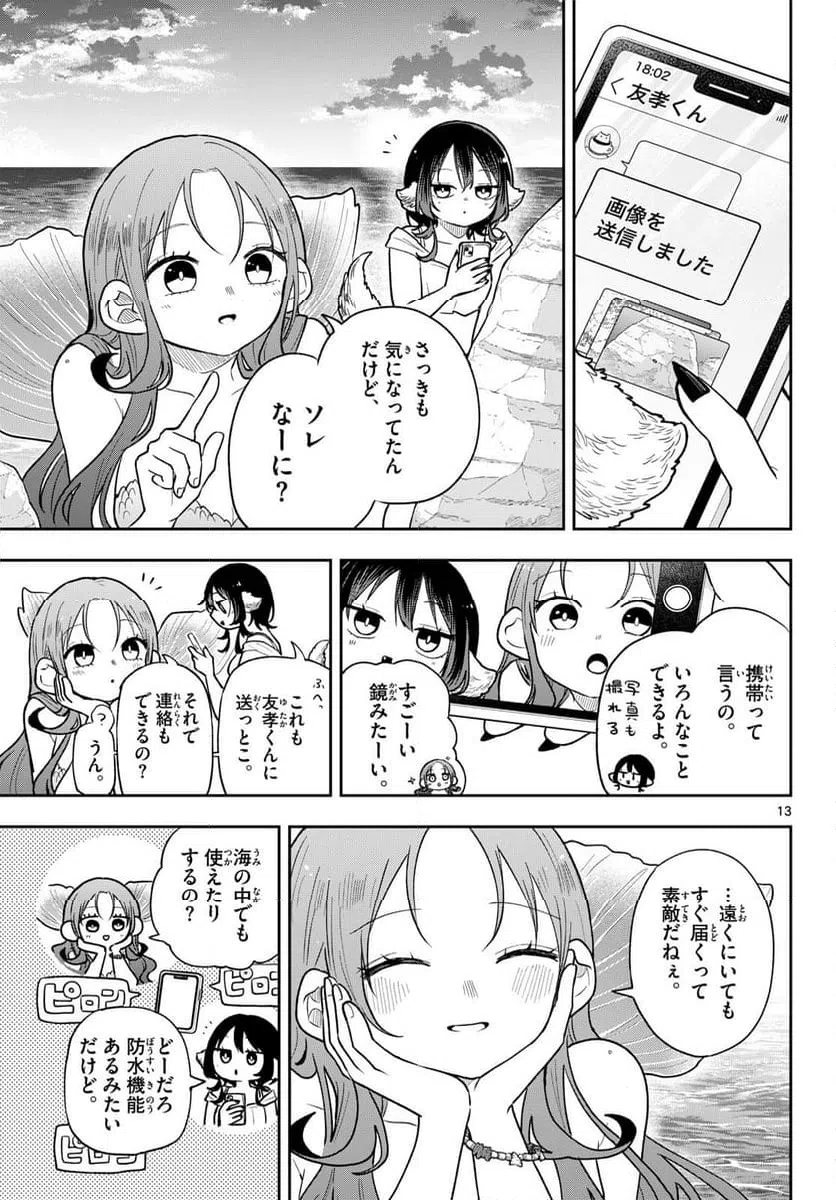 Page 13