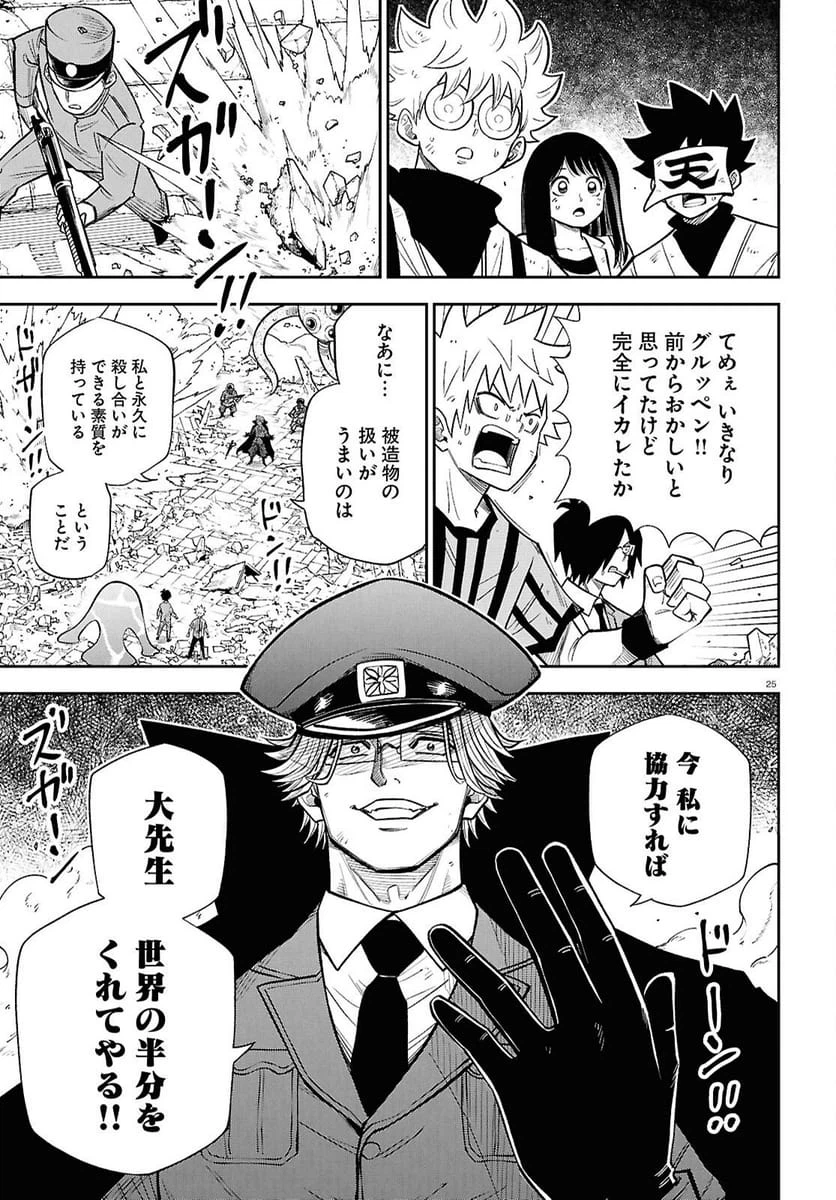 Page 25