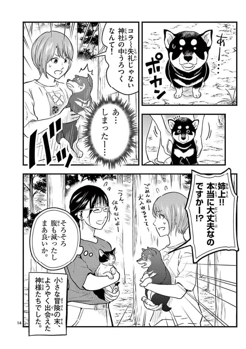 Page 14