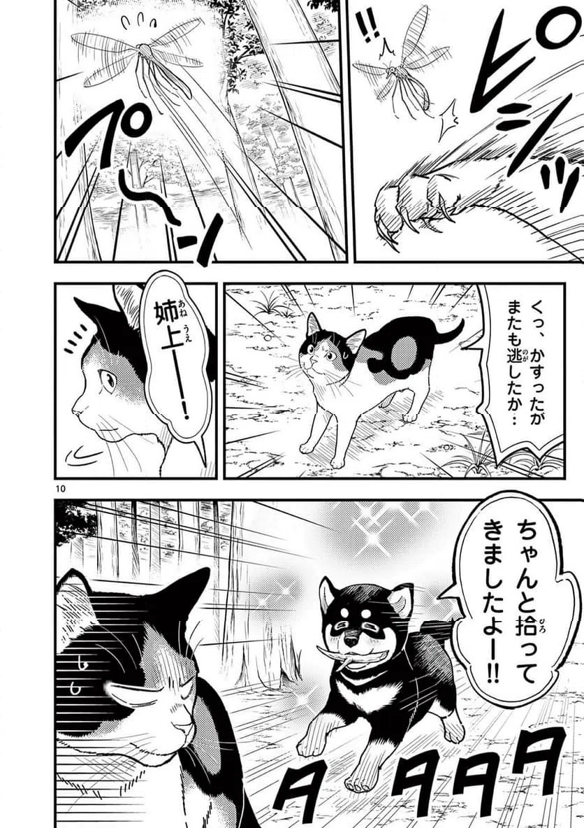 Page 10