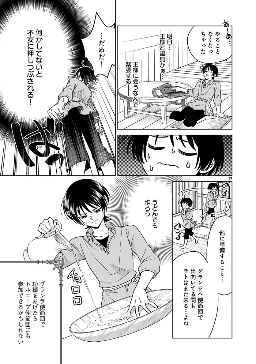 Page 17