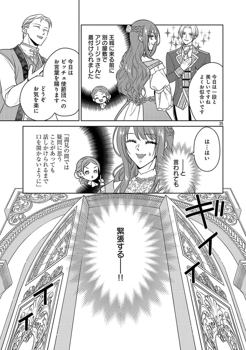 Page 25
