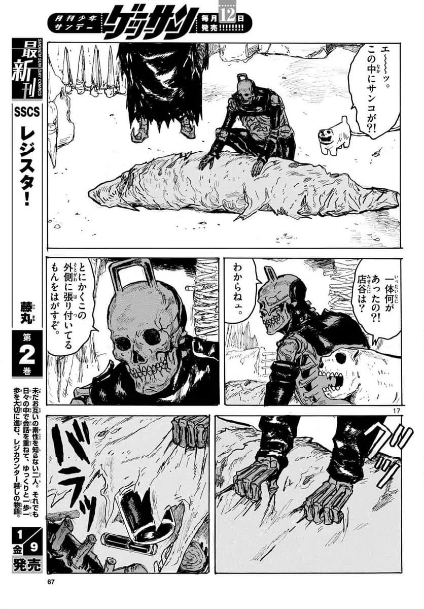 Page 17