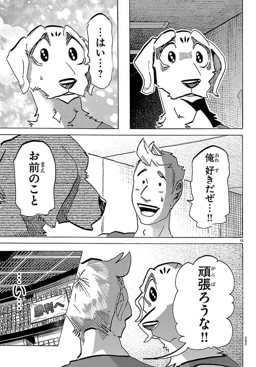 Page 13