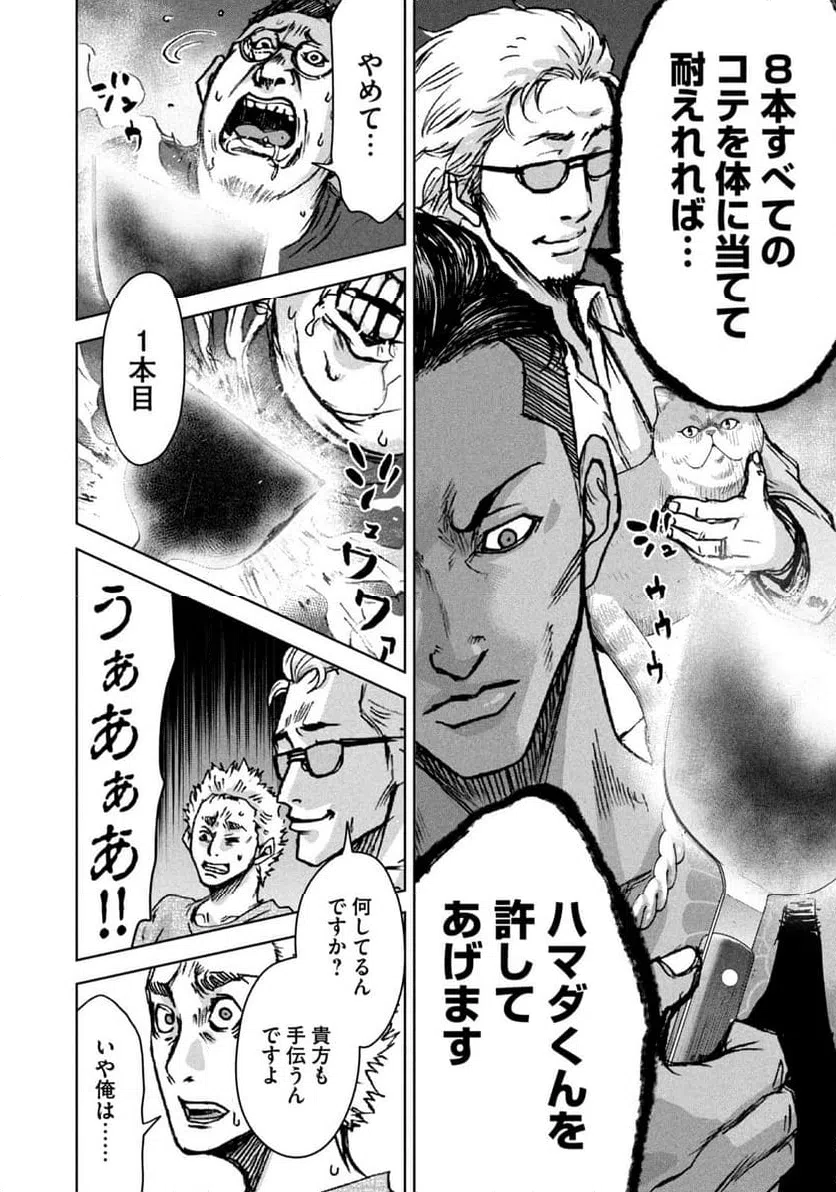 Page 42