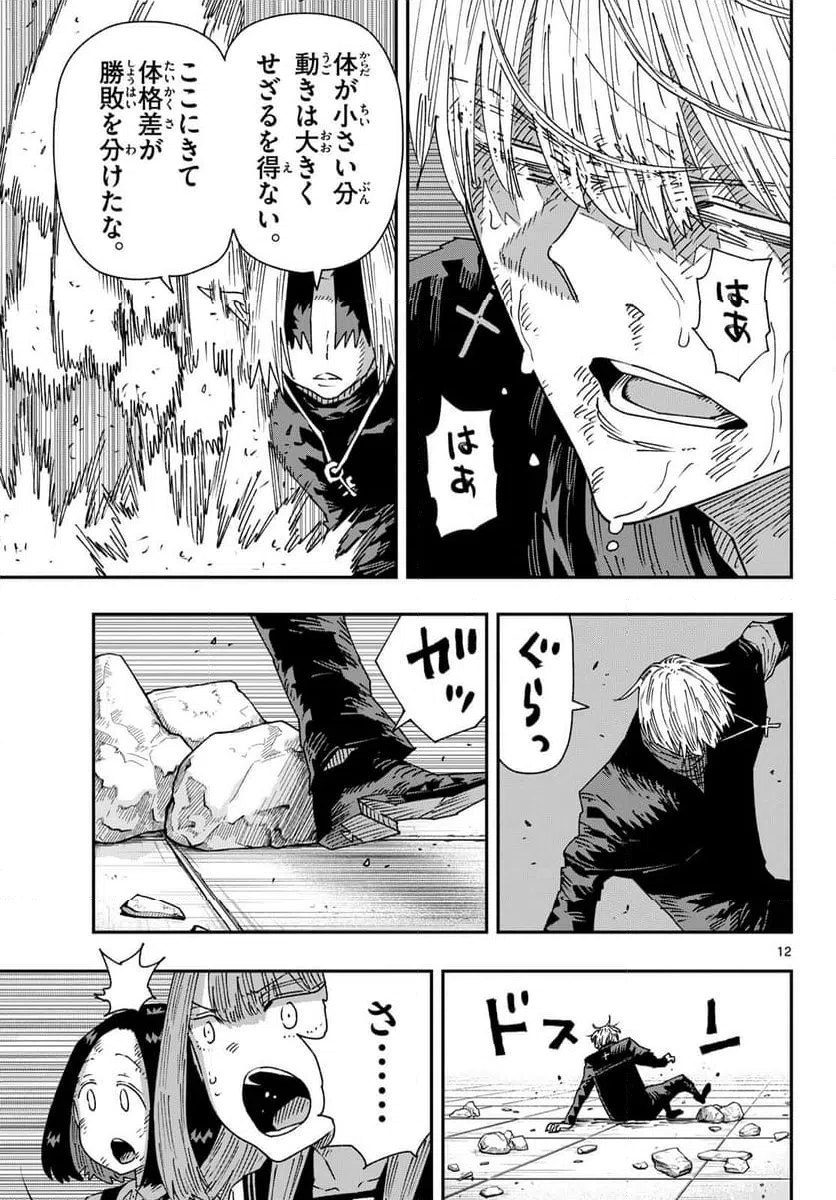 Page 12