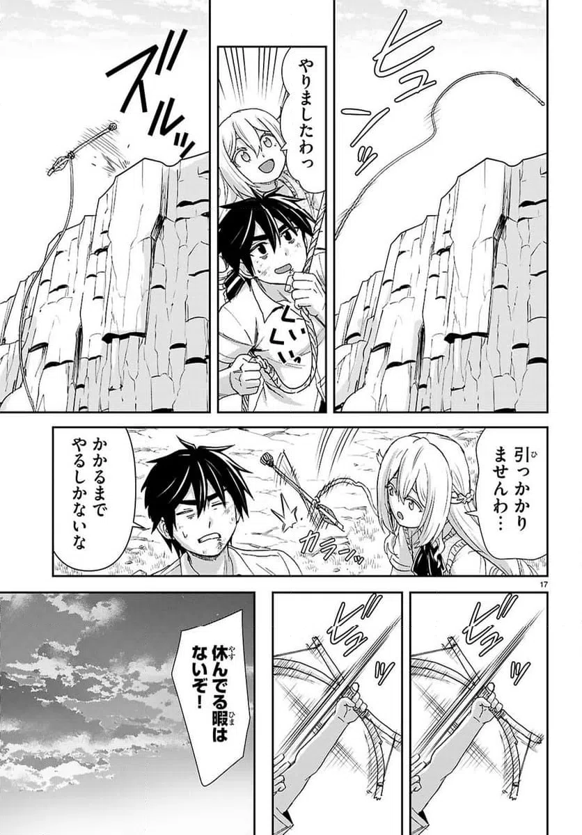 Page 17