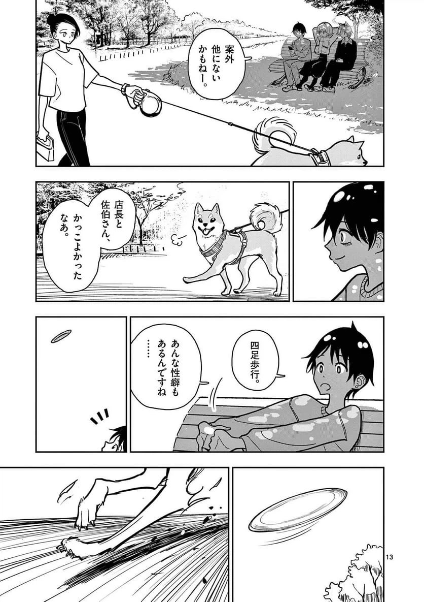 Page 13