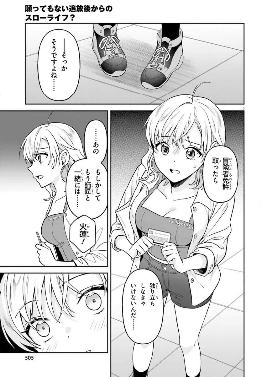 Page 13