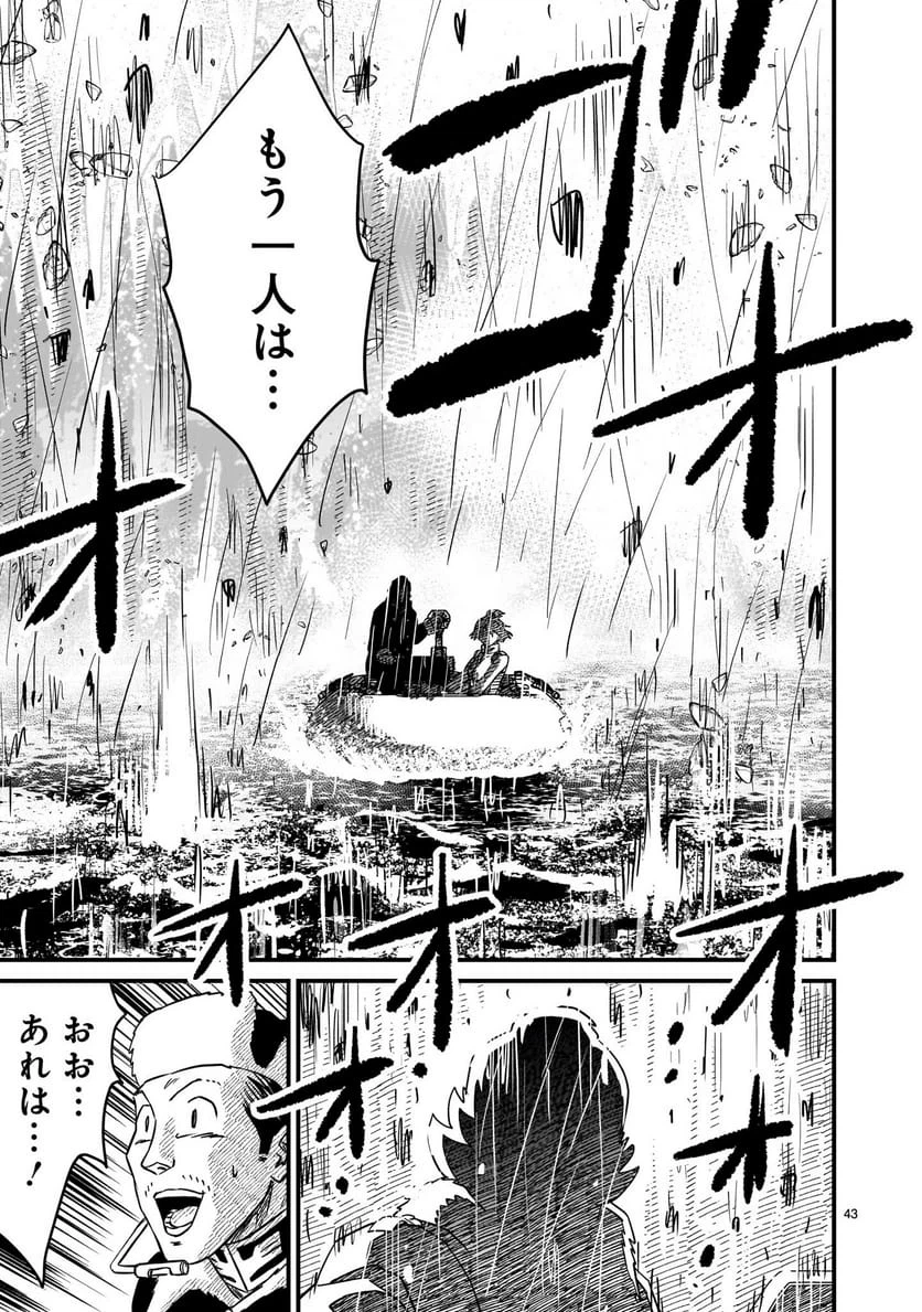 Page 43