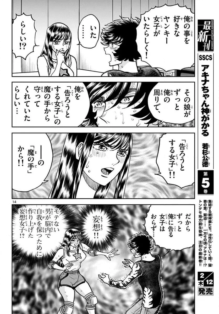 Page 14