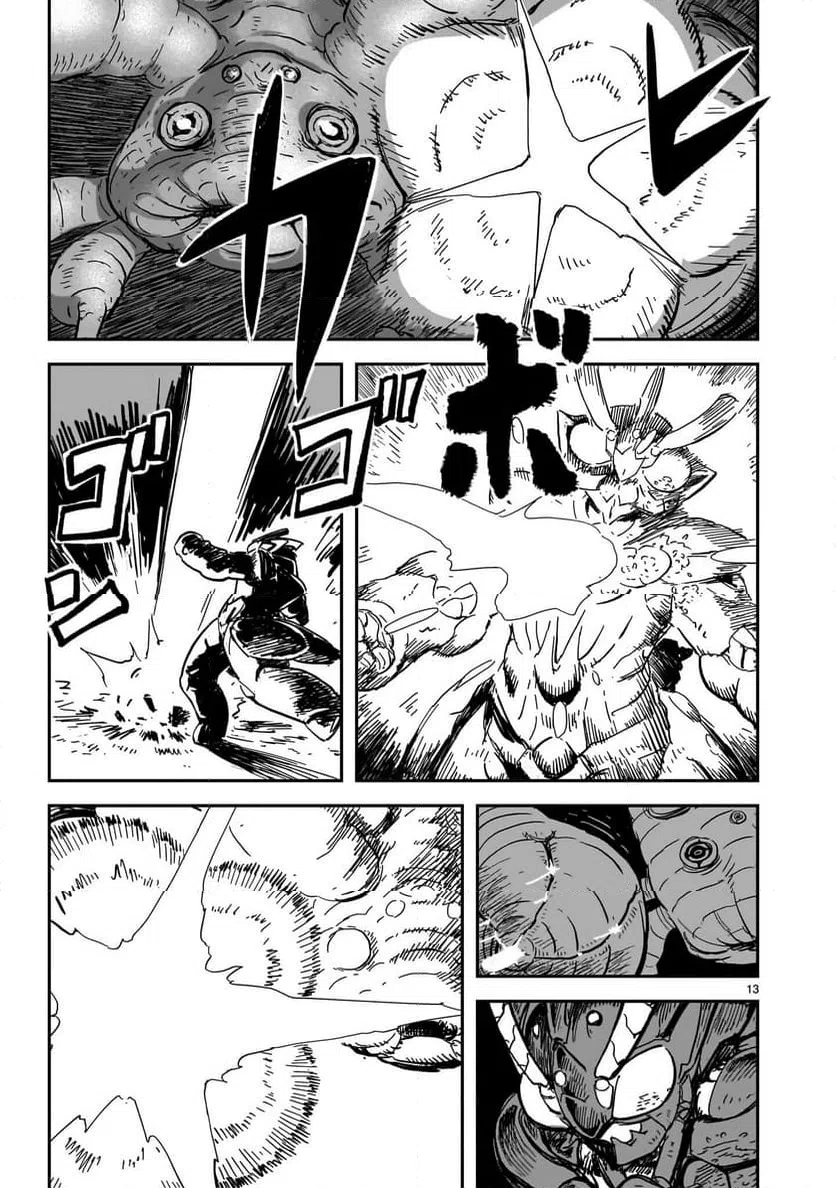 Page 13