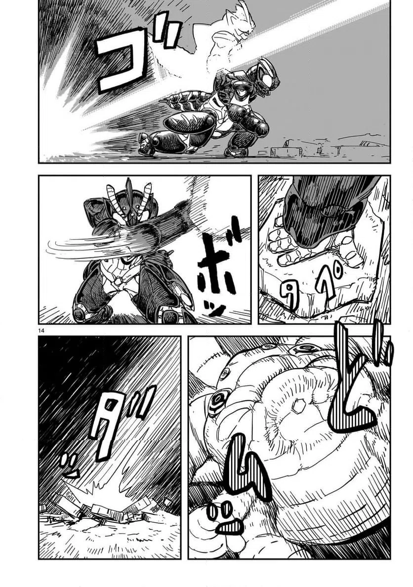 Page 14