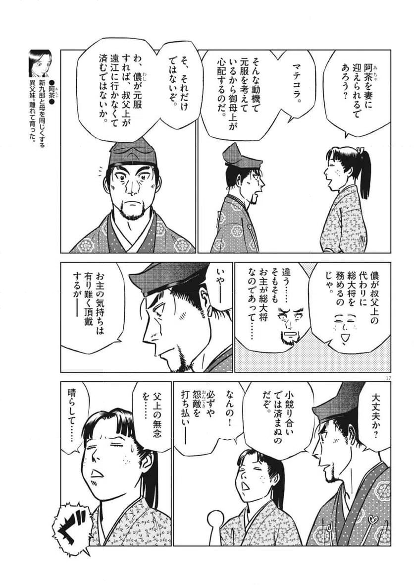 Page 17