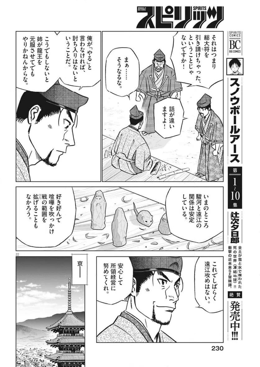 Page 22