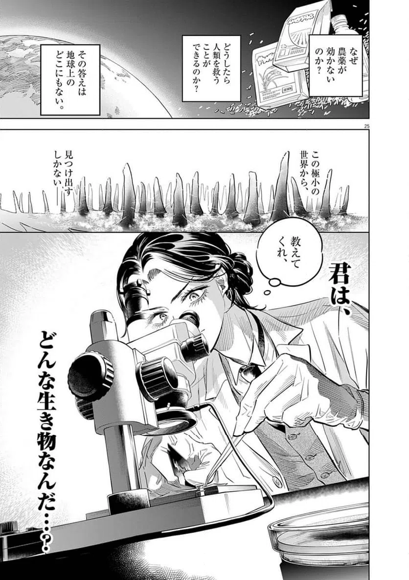 Page 25