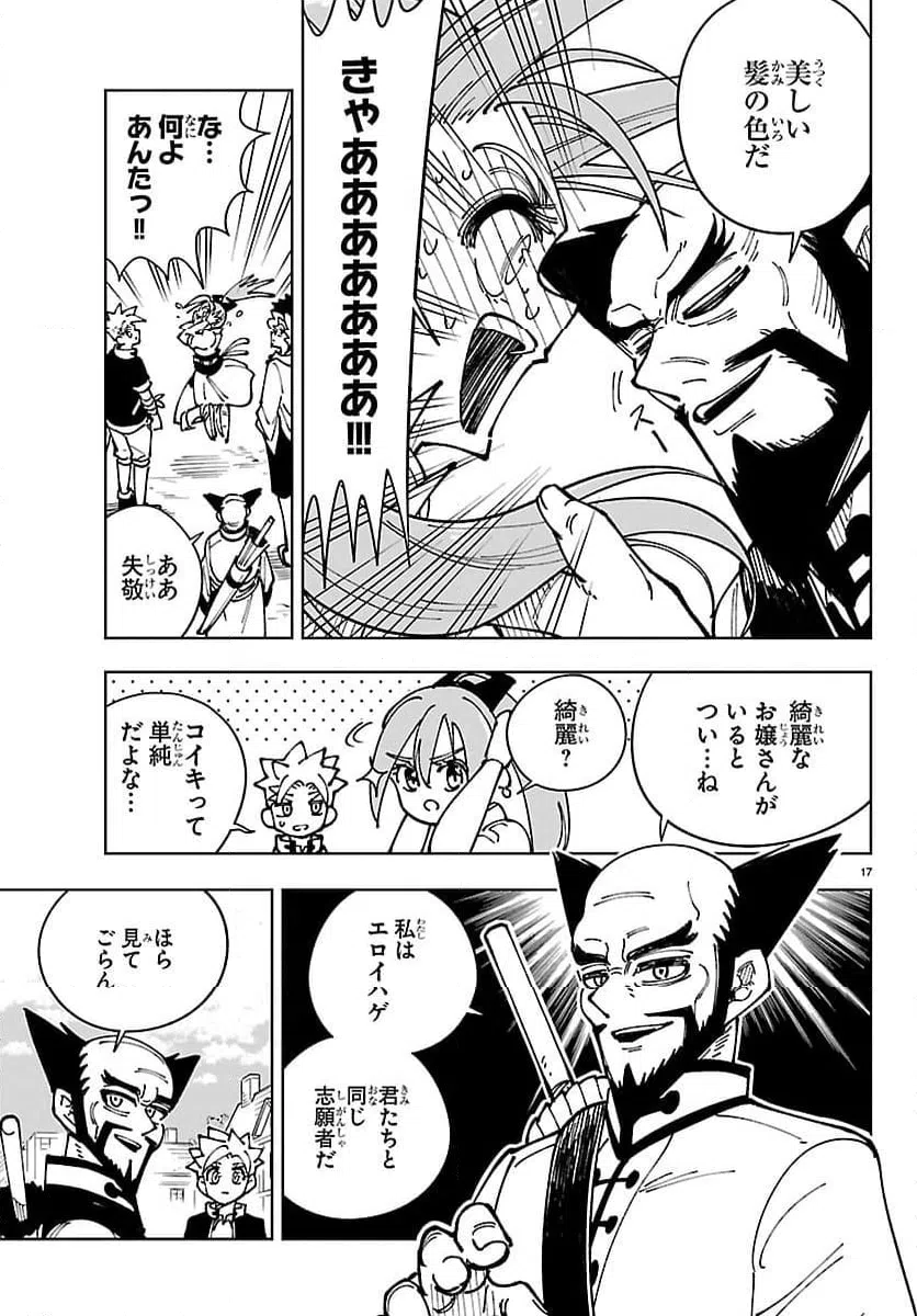 Page 17