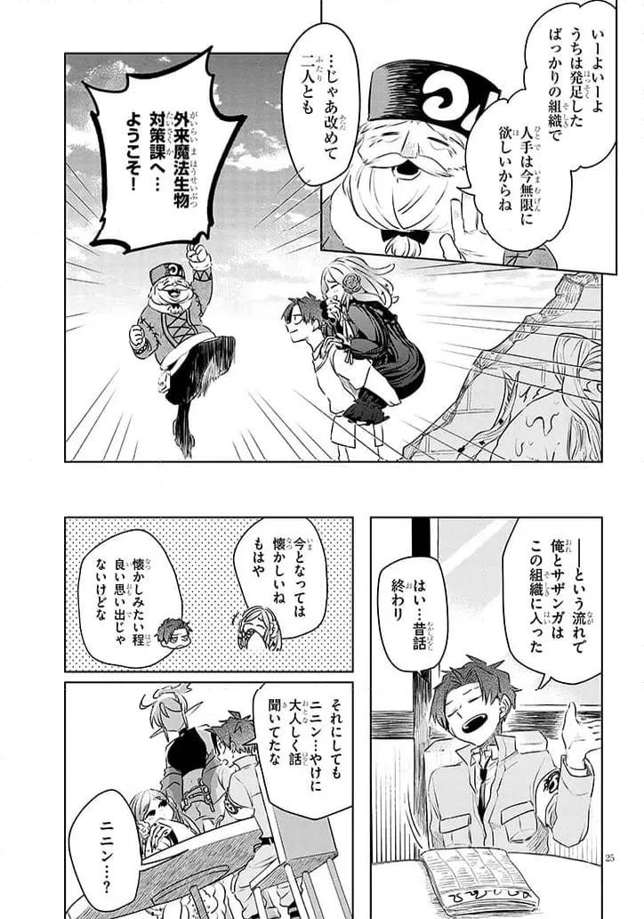 Page 25