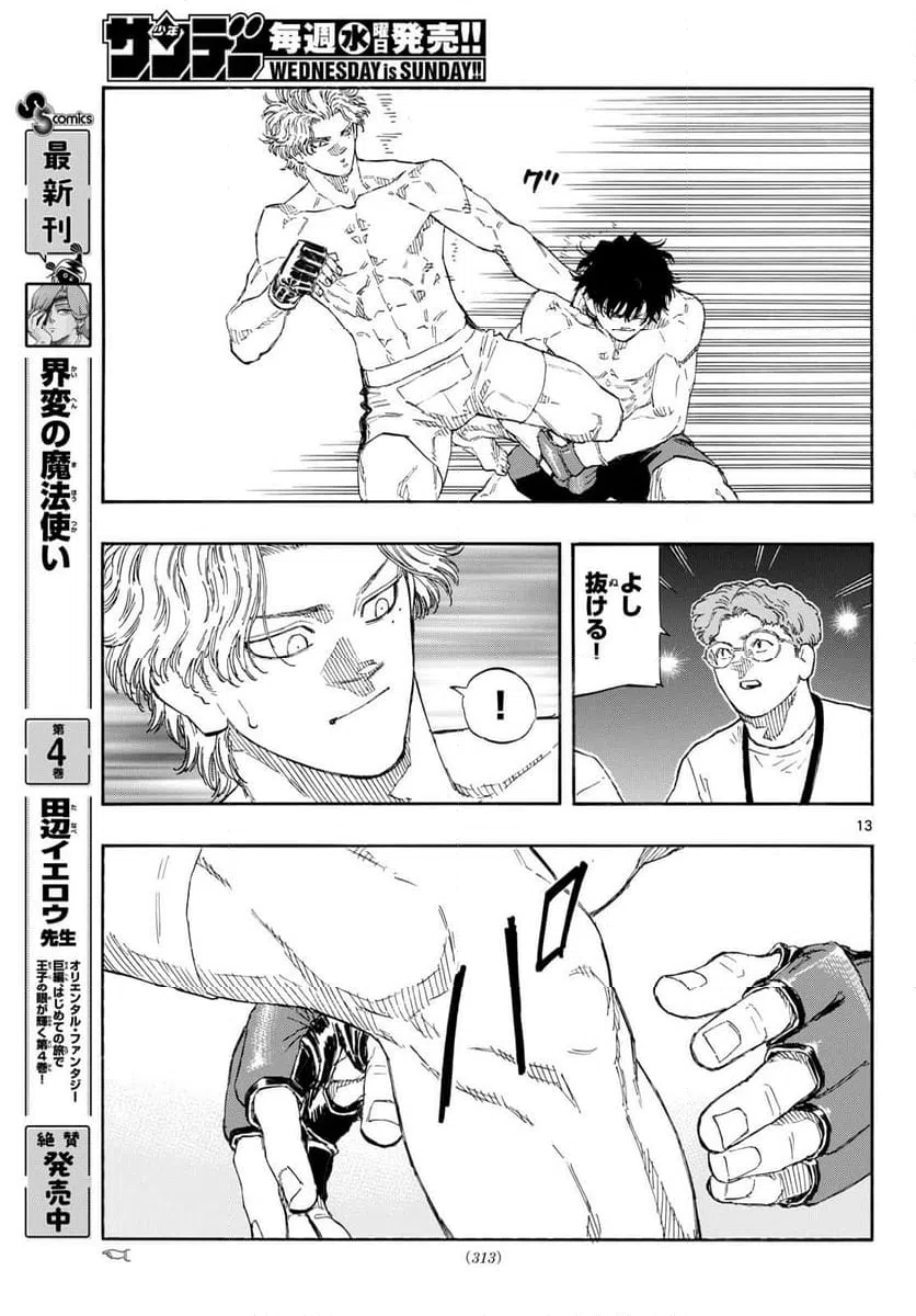 Page 13