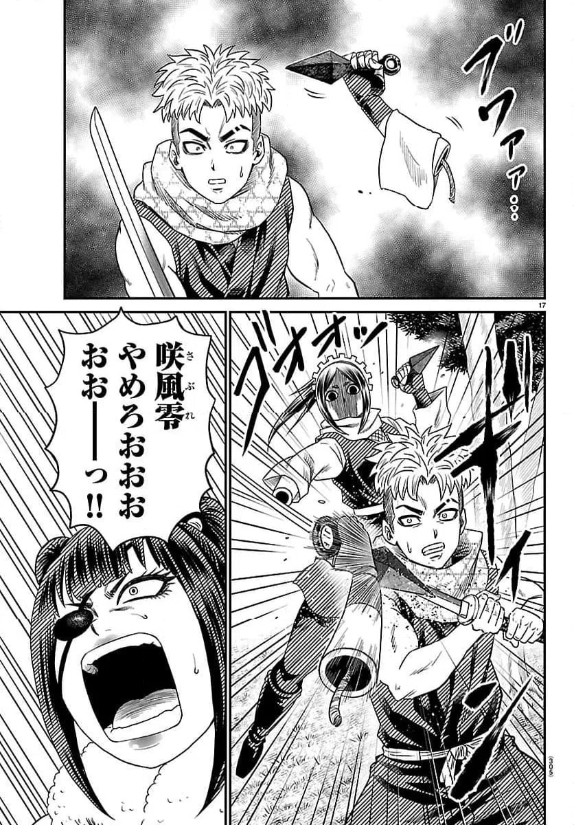 Page 17