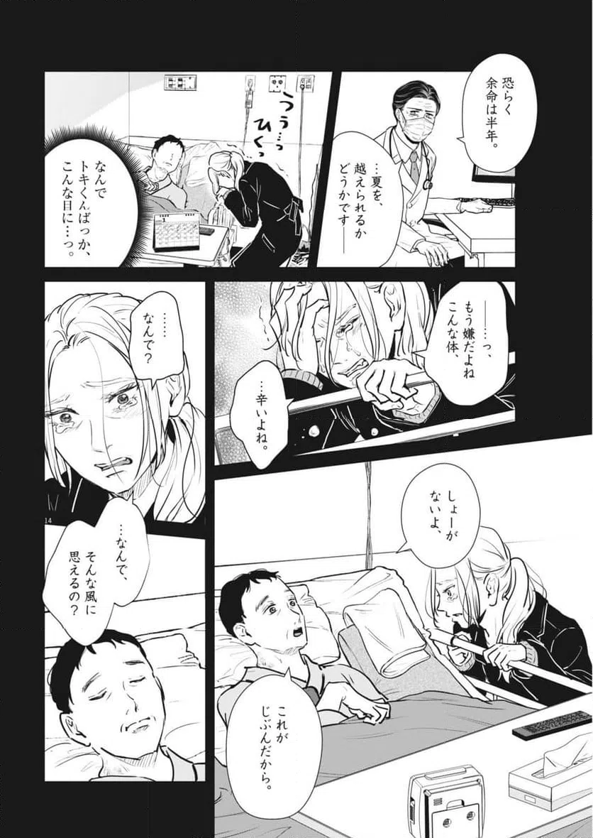 Page 14