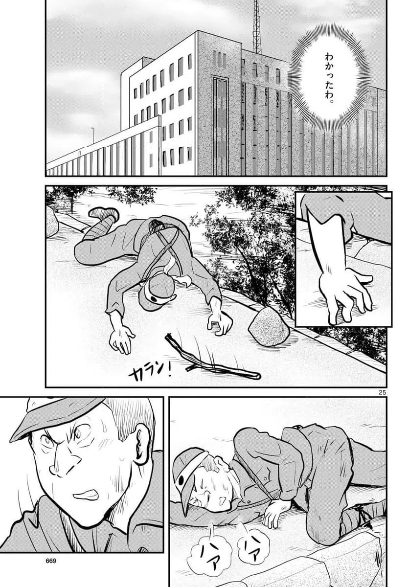 Page 25