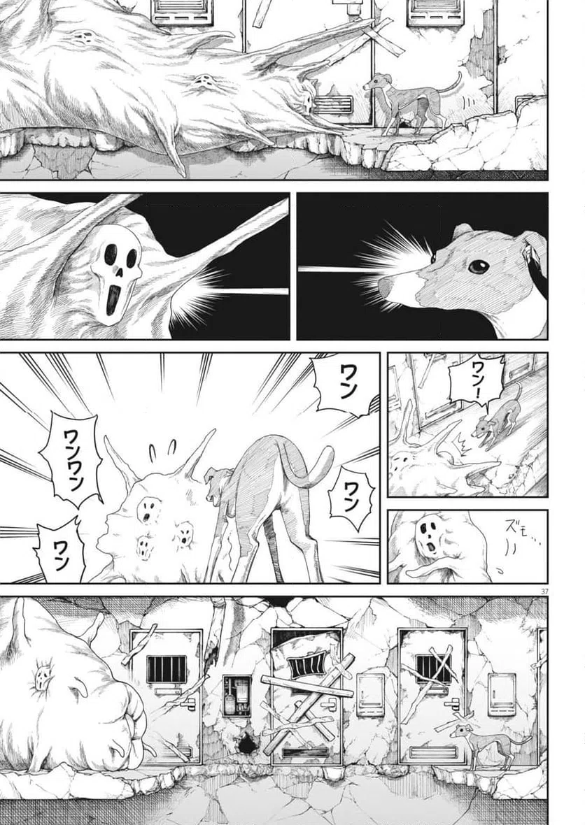 Page 37