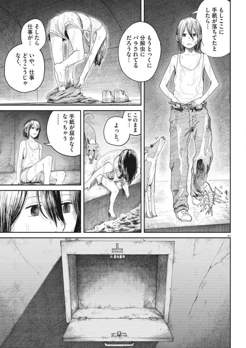Page 43