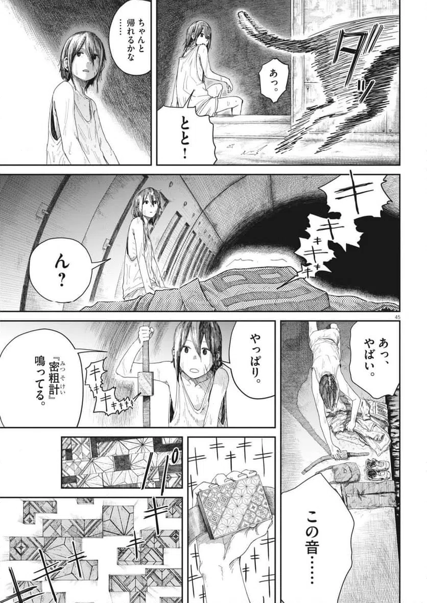 Page 45