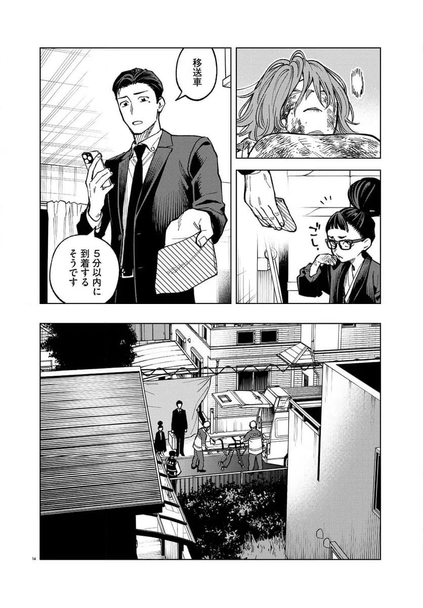 Page 14