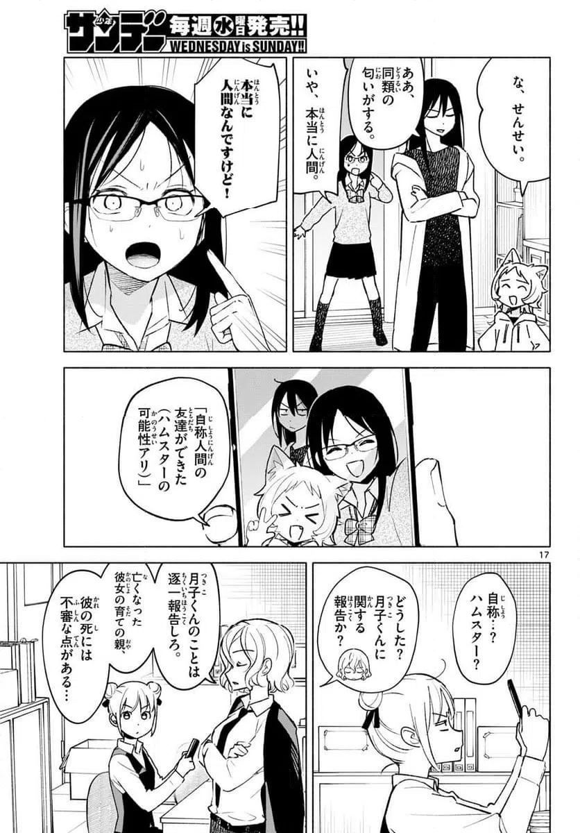 Page 17