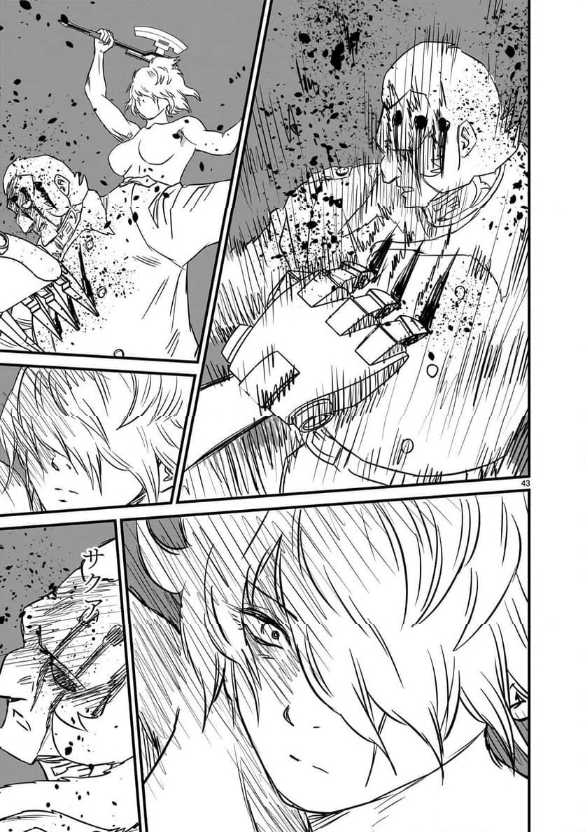 Page 43