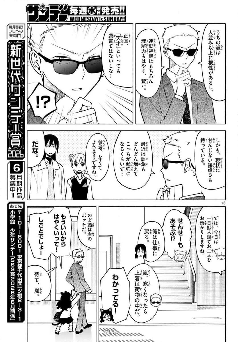 Page 13