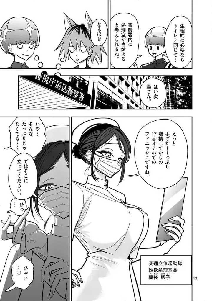 Page 13