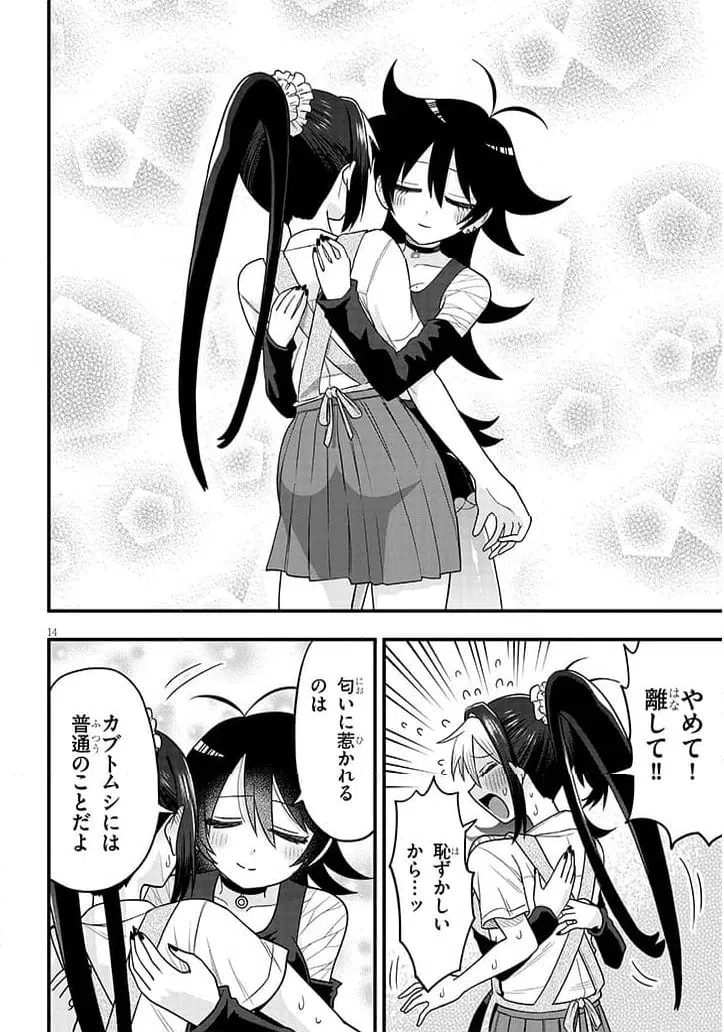 Page 14