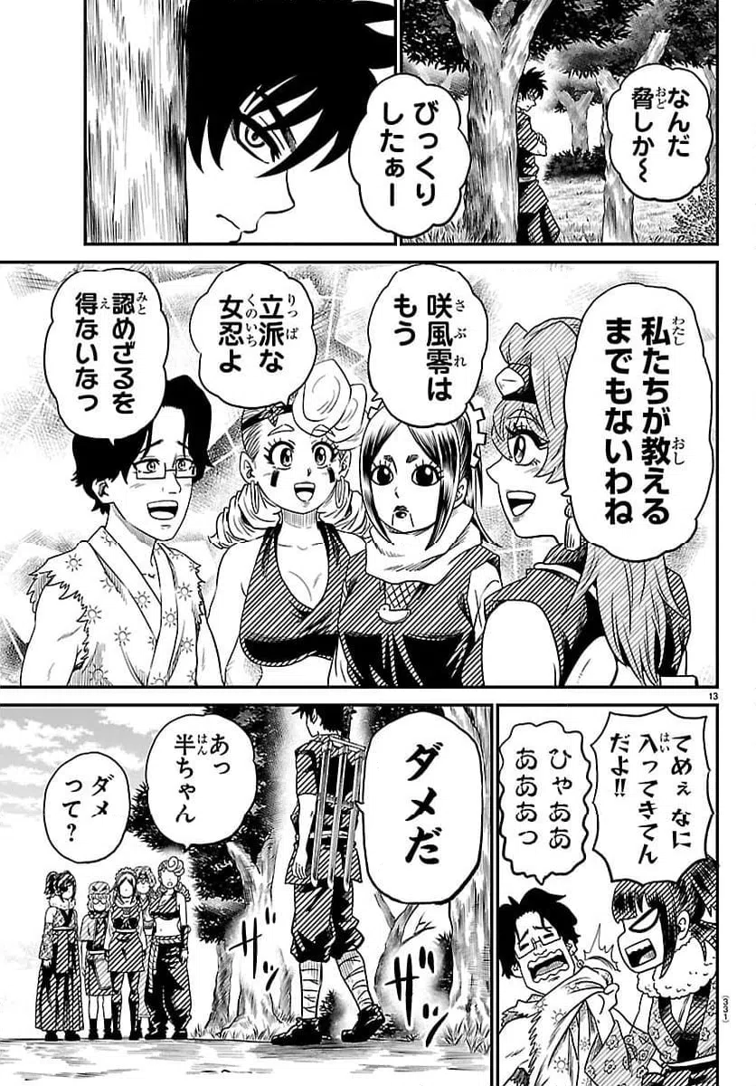 Page 13