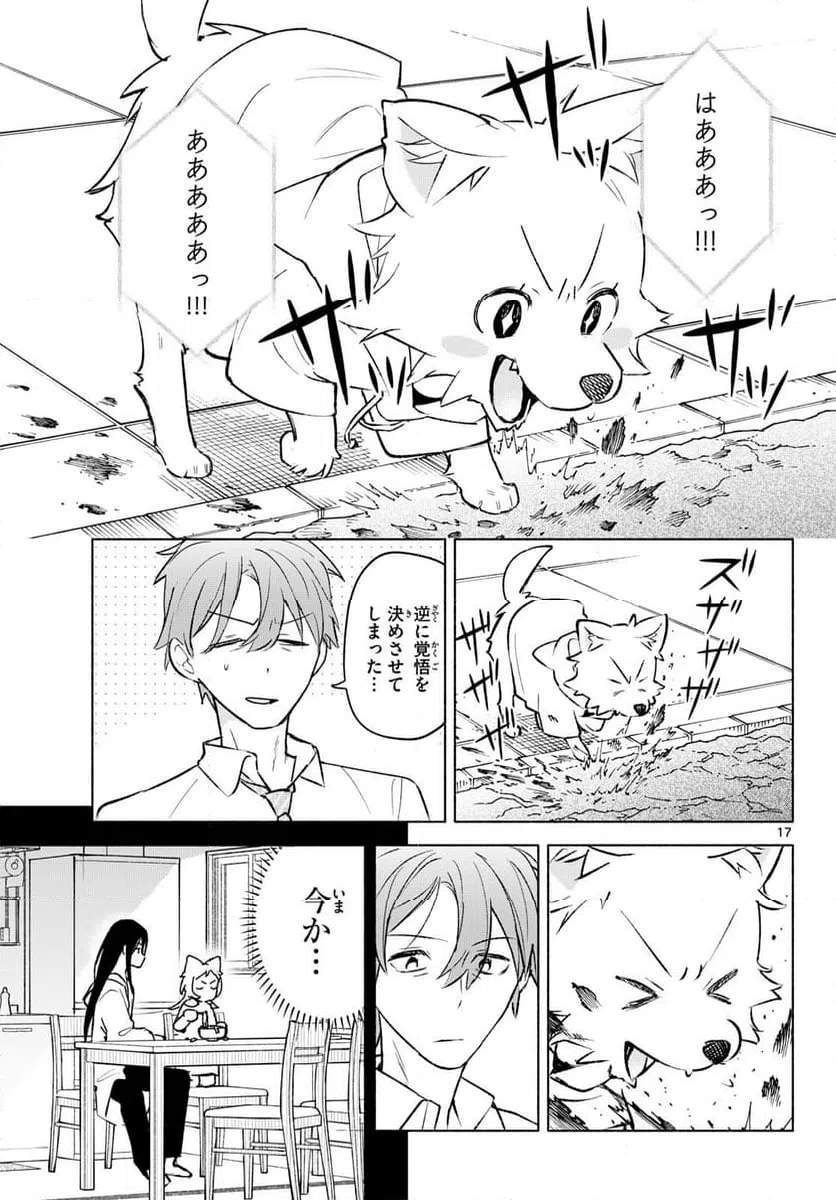 Page 17