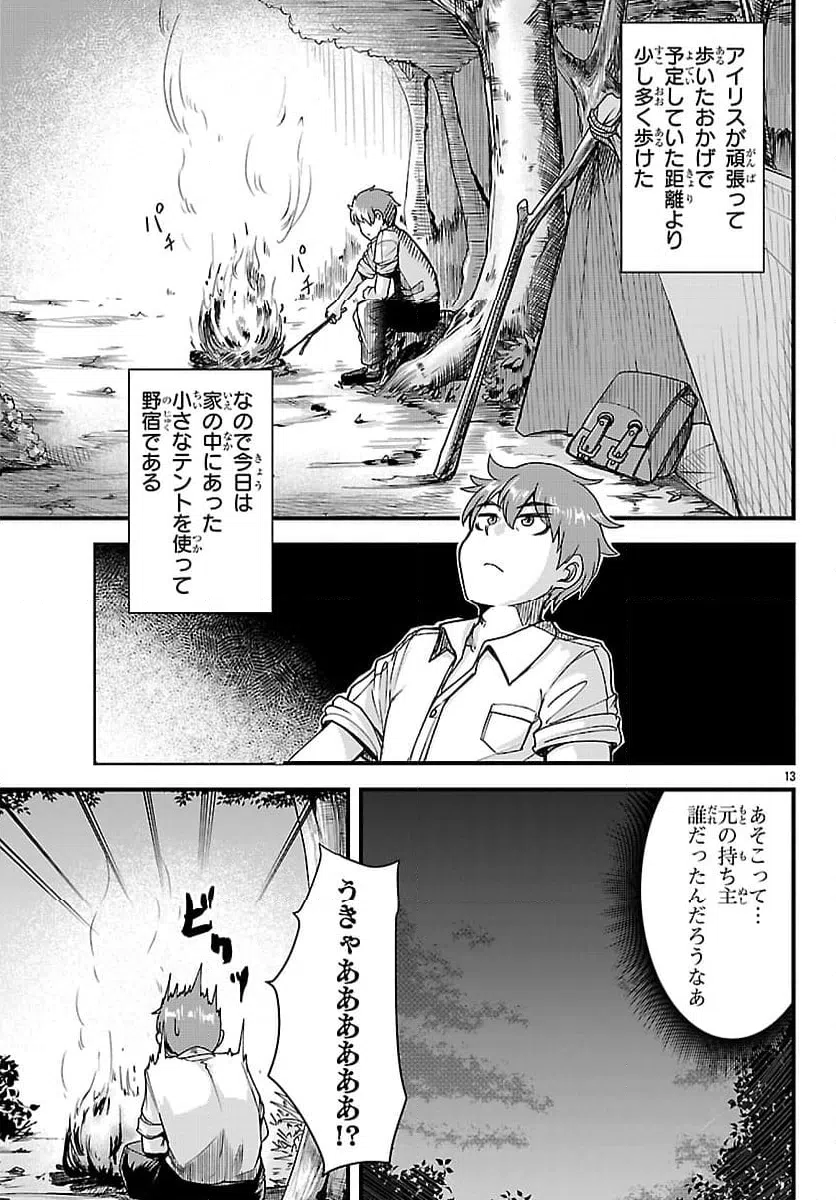 Page 13