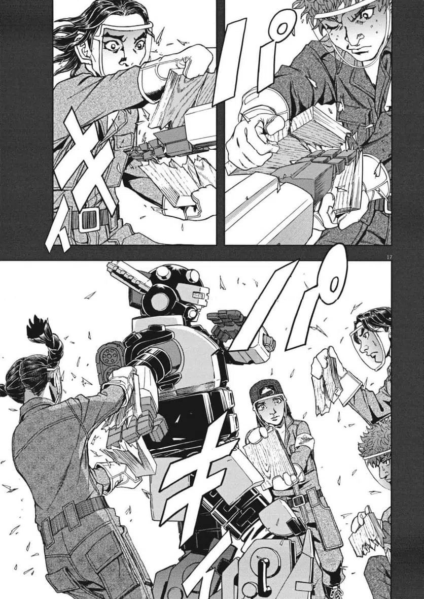 Page 17
