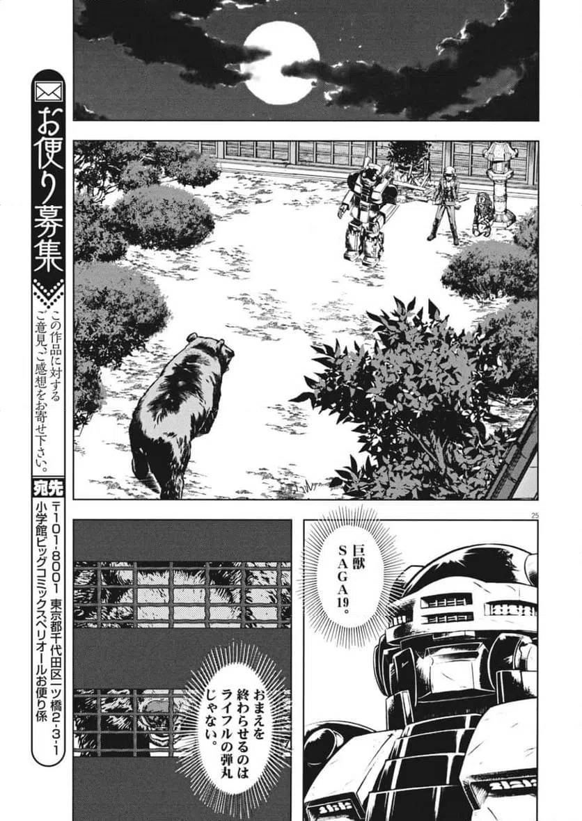 Page 25