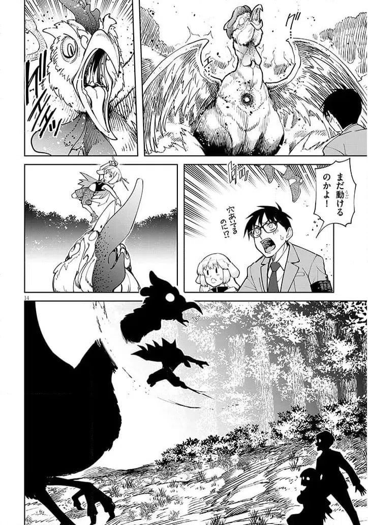 Page 14