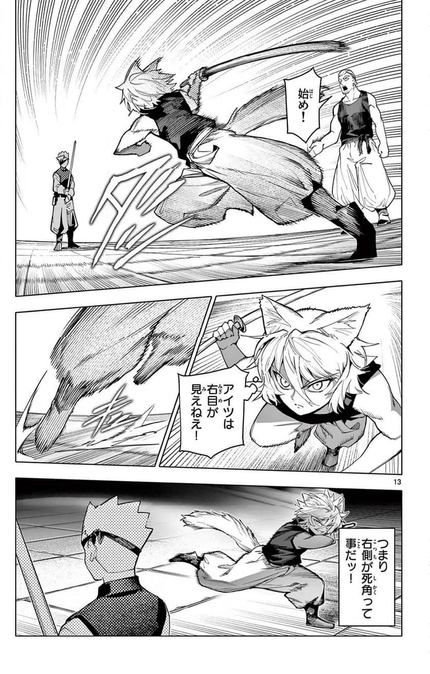 Page 13