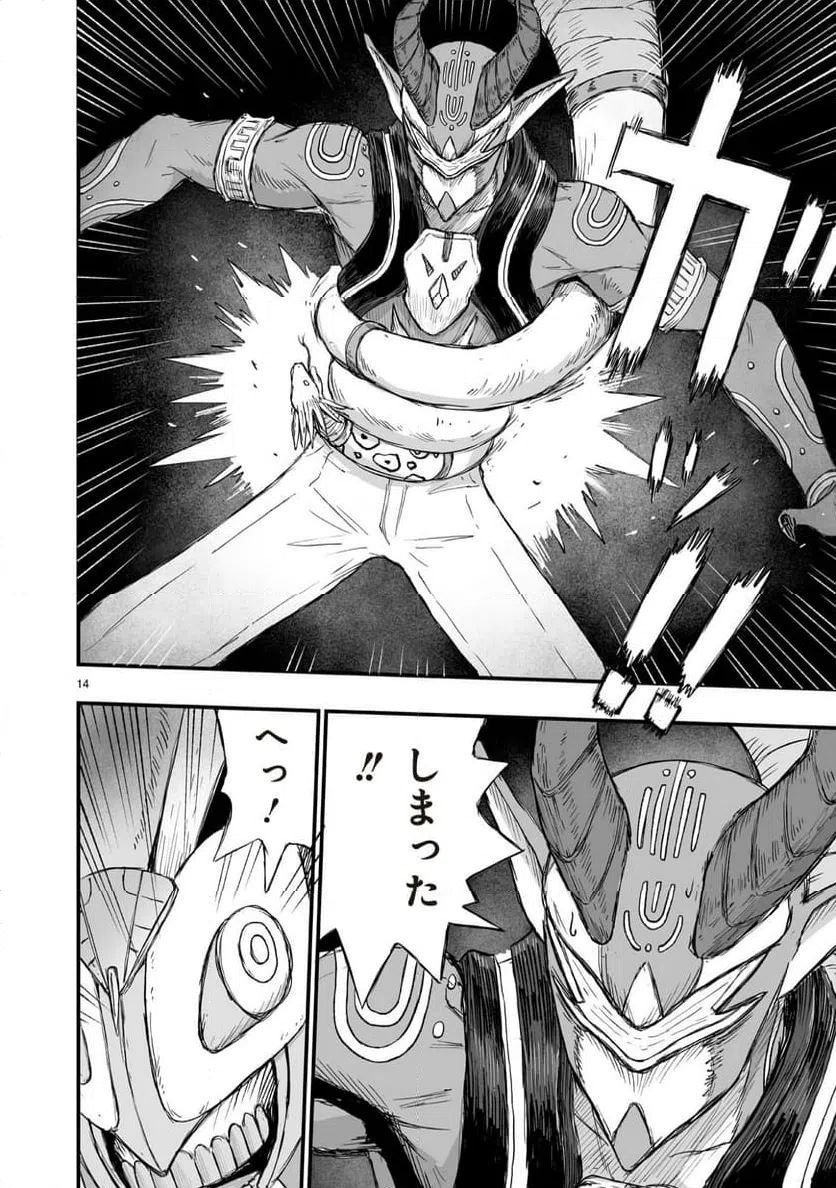 Page 14