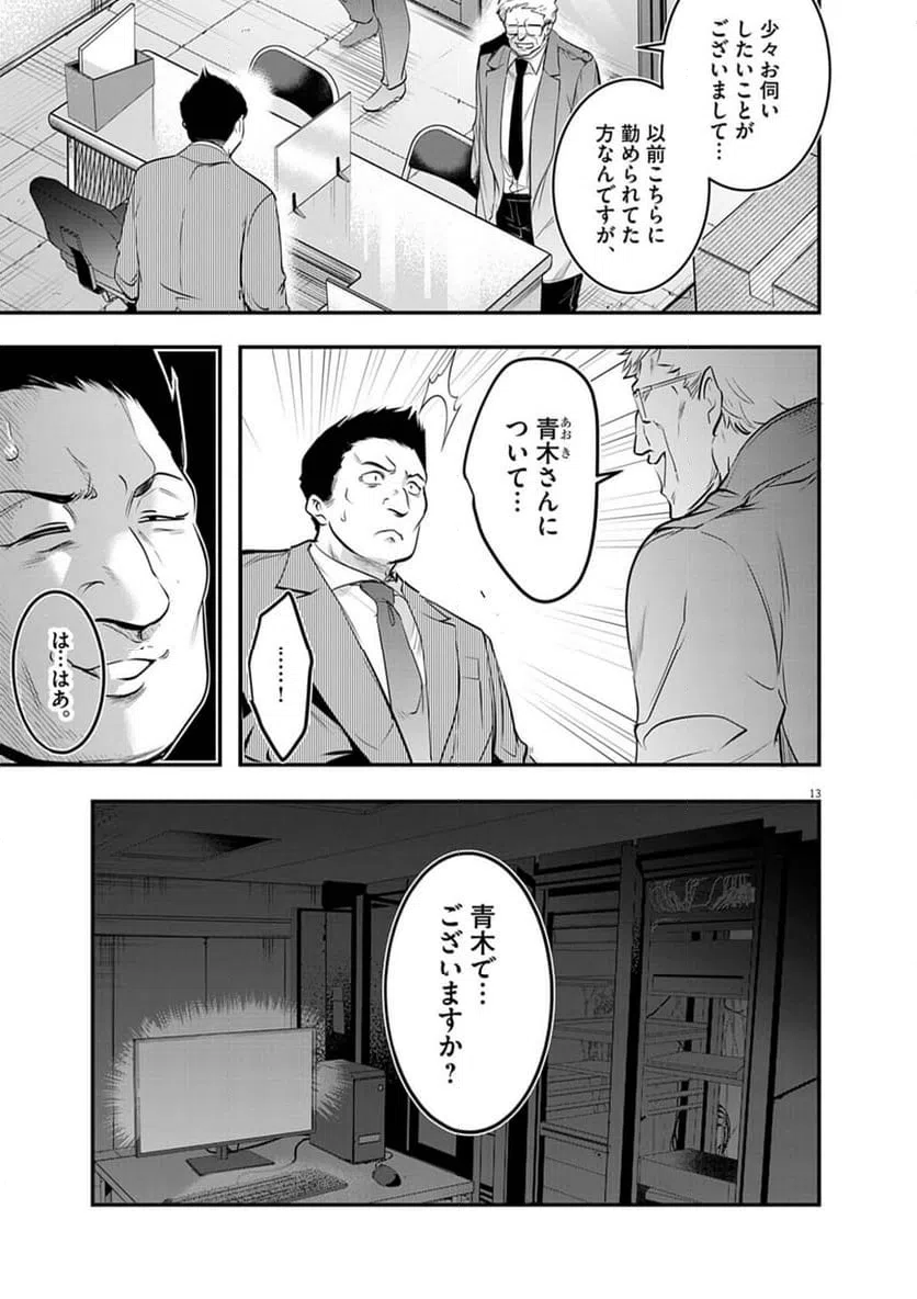Page 13