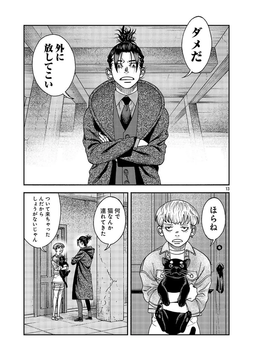 Page 13