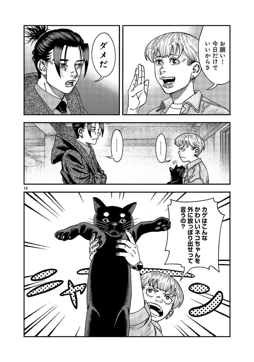 Page 14