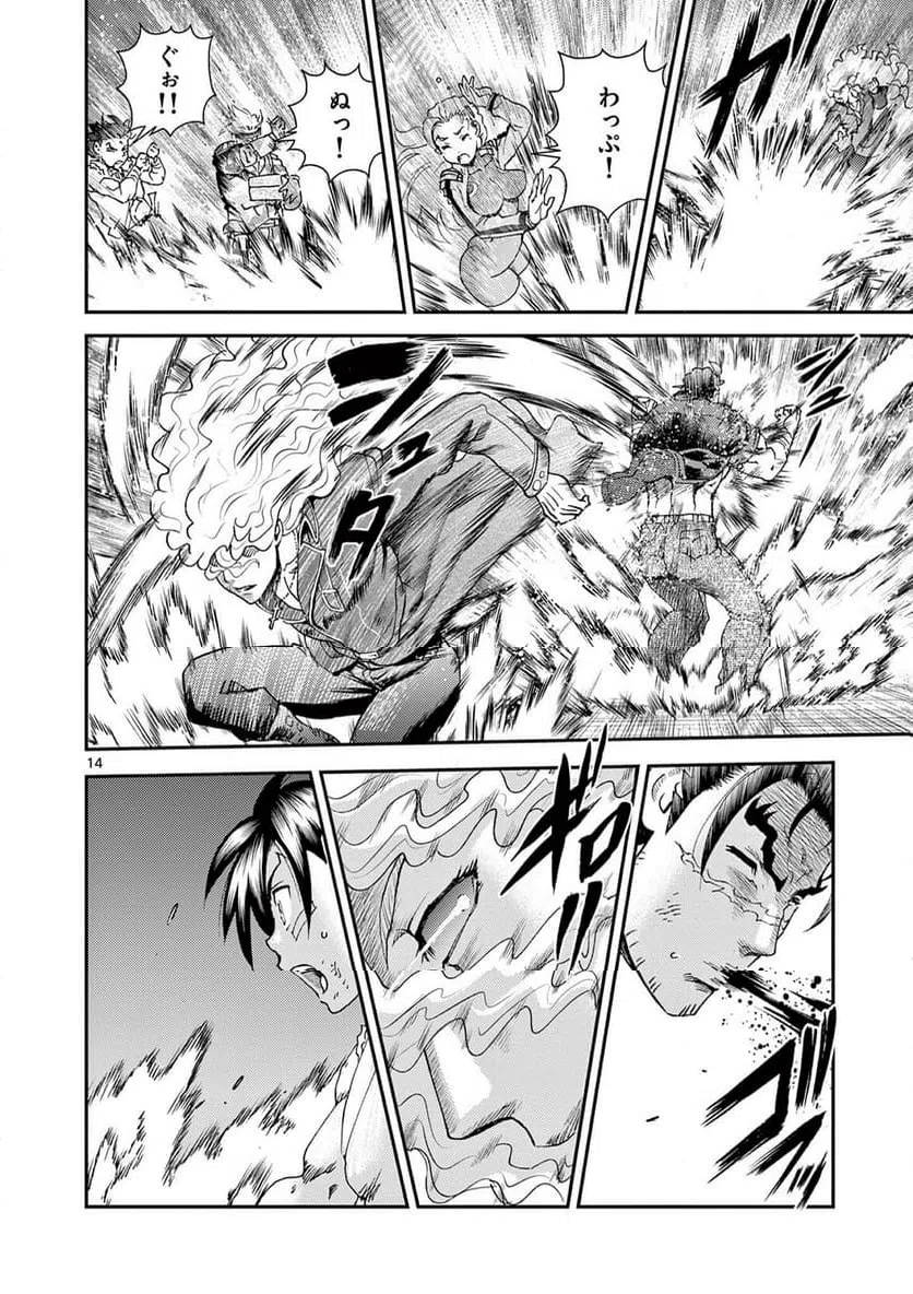 Page 14