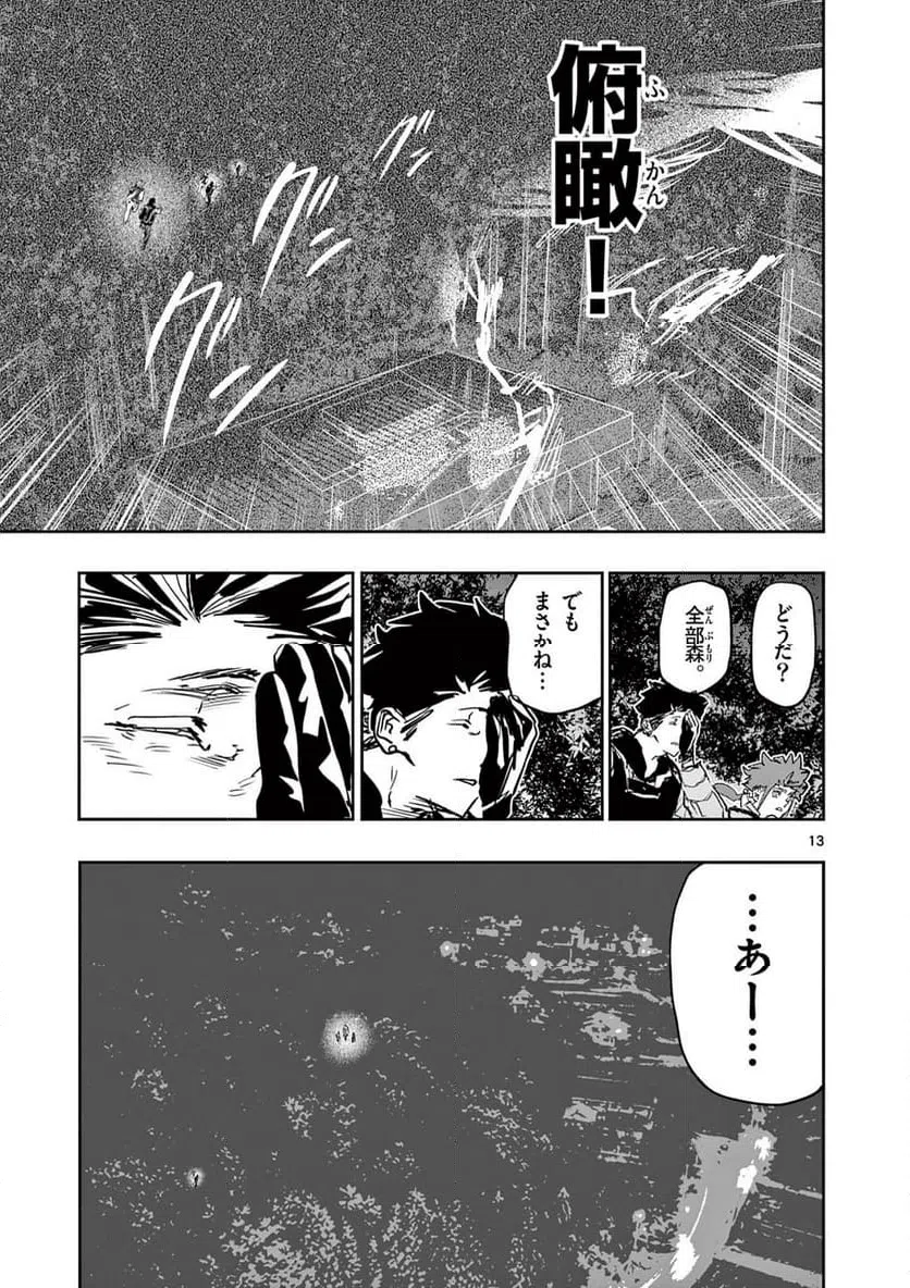 Page 13